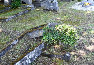 Horní Ves Chomutov, Omnium, 2020