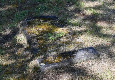 Horní Ves Chomutov, Omnium, 2020