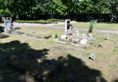 Horní Ves Chomutov, Omnium, 2020