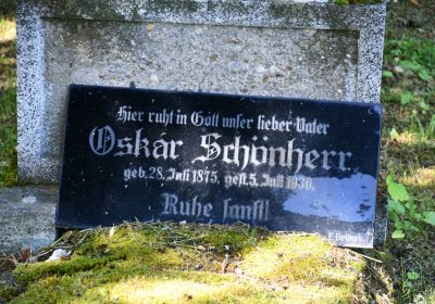 Horní Ves Chomutov, Omnium, 2020