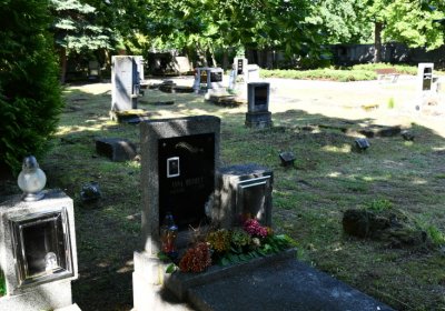 Horní Ves Chomutov, Omnium, 2020