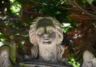 Horní Ves Chomutov, Omnium, 2020