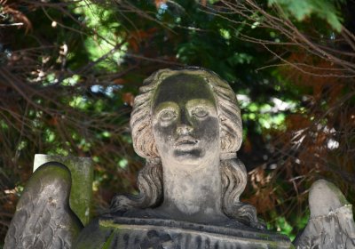 Horní Ves Chomutov, Omnium, 2020