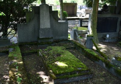 Horní Ves Chomutov, Omnium, 2020