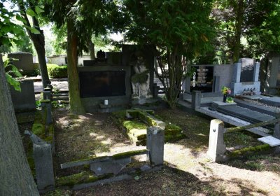 Horní Ves Chomutov, Omnium, 2020