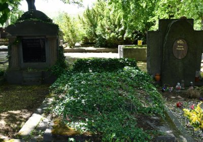 Horní Ves Chomutov, Omnium, 2020