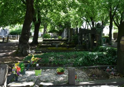 Horní Ves Chomutov, Omnium, 2020