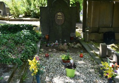 Horní Ves Chomutov, Omnium, 2020