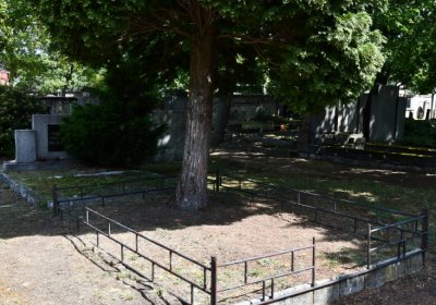 Horní Ves Chomutov, Omnium, 2020