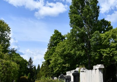 Horní Ves Chomutov, Omnium, 2020