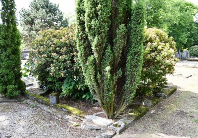 Horní Ves Chomutov, Omnium, 2020