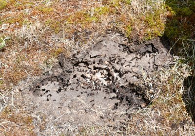 Horní Ves Chomutov, Omnium, 2020