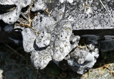 Horní Ves Chomutov, Omnium, 2020