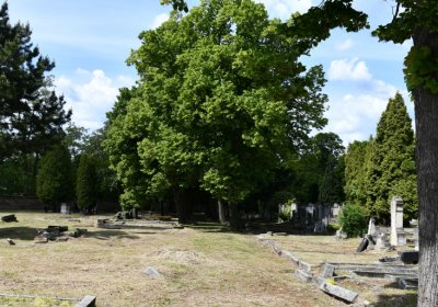 Horní Ves Chomutov, Omnium, 2020