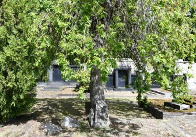 Horní Ves Chomutov, Omnium, 2020