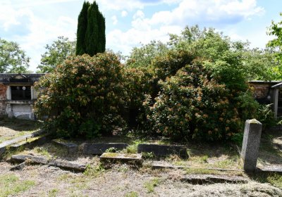 Horní Ves Chomutov, Omnium, 2020