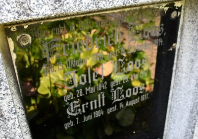 Horní Ves Chomutov, Omnium, 2020