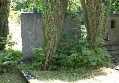 Bečvář Michal, Muzeum Chomutov, 2014