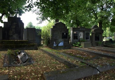 Bečvář Michal, Muzeum Chomutov, 2014