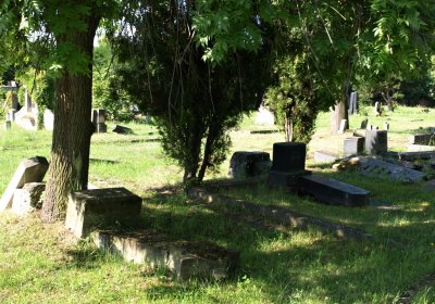 Bečvář Michal, Muzeum Chomutov, 2014