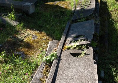 Bečvář Michal, Muzeum Chomutov, 2014