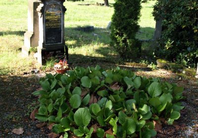 Bečvář Michal, Muzeum Chomutov, 2014