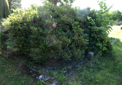 Bečvář Michal, Muzeum Chomutov, 2014