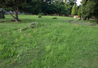 Bečvář Michal, Muzeum Chomutov, 2014