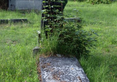 Bečvář Michal, Muzeum Chomutov, 2014