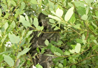 Bečvář Michal, Muzeum Chomutov, 2014