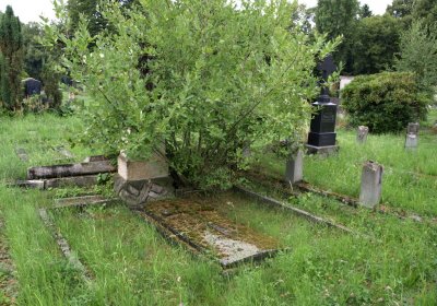 Bečvář Michal, Muzeum Chomutov, 2014