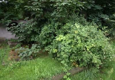 Bečvář Michal, Muzeum Chomutov, 2014