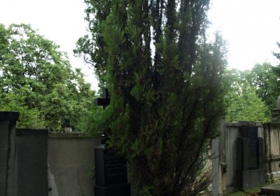 Bečvář Michal, Muzeum Chomutov, 2014