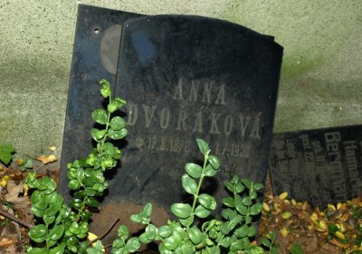 Bečvář Michal, Muzeum Chomutov, 2014