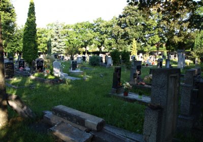 Bečvář Michal, Muzeum Chomutov, 2014