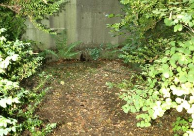 Bečvář Michal, Muzeum Chomutov, 2014