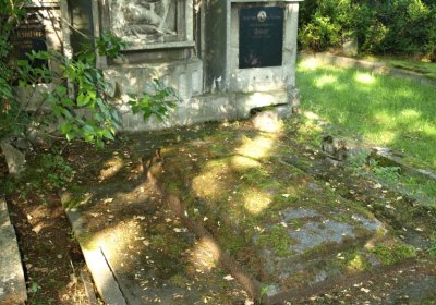 Bečvář Michal, Muzeum Chomutov, 2014