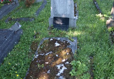 Bečvář Michal, Muzeum Chomutov, 2014