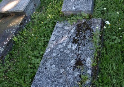 Bečvář Michal, Muzeum Chomutov, 2014