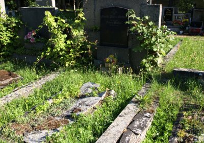 Bečvář Michal, Muzeum Chomutov, 2014