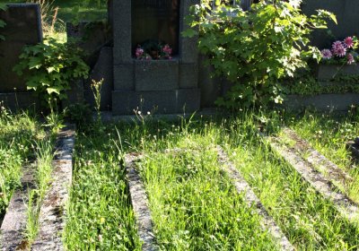 Bečvář Michal, Muzeum Chomutov, 2014