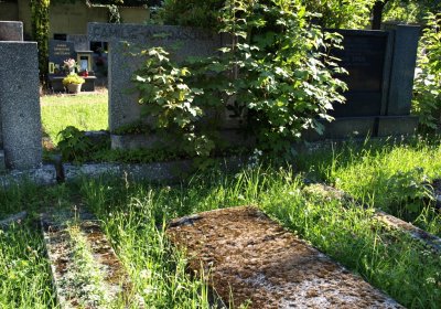 Bečvář Michal, Muzeum Chomutov, 2014