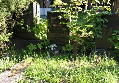 Bečvář Michal, Muzeum Chomutov, 2014