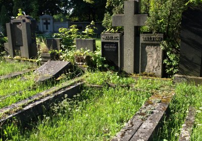 Bečvář Michal, Muzeum Chomutov, 2014