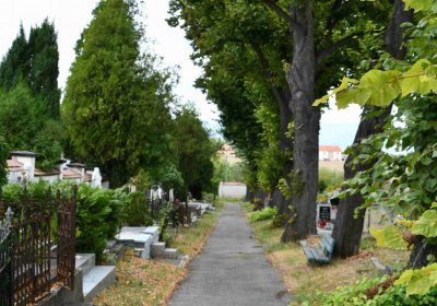 Městský hřbitov Bílina, Omnium, 2018