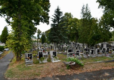 Městský hřbitov Bílina, Omnium, 2018