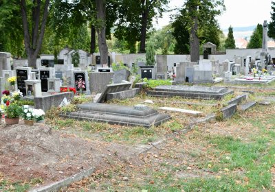 Městský hřbitov Bílina, Omnium, 2018