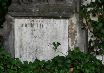 Městský hřbitov Bílina, Omnium, 2018