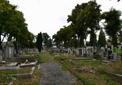 Městský hřbitov Bílina, Omnium, 2018