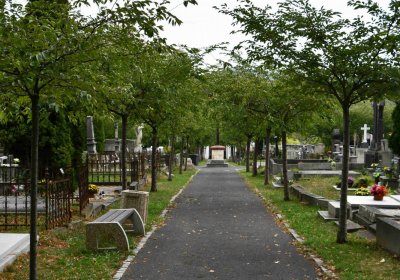 Městský hřbitov Bílina, Omnium, 2018